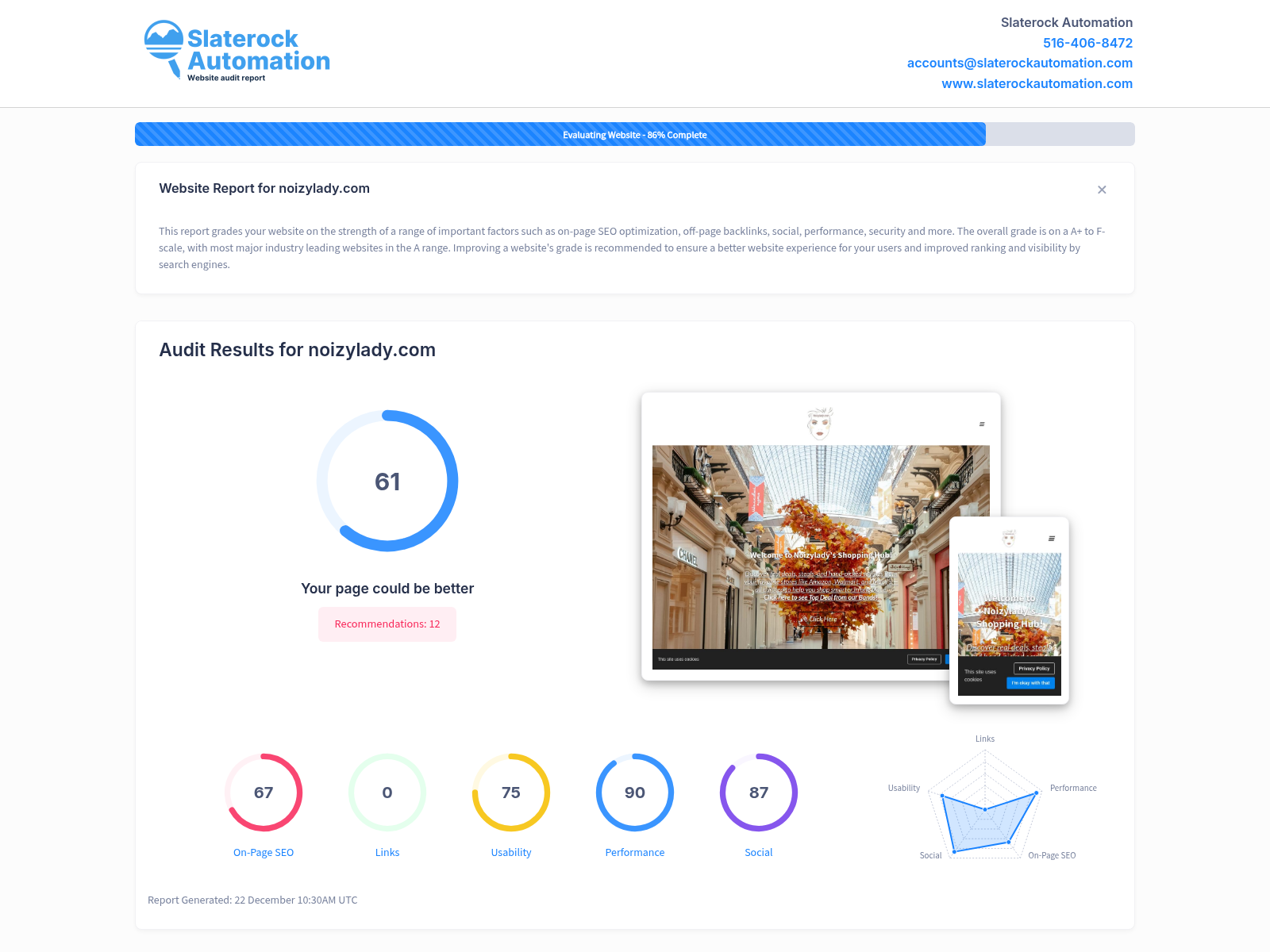 Screenshot of Noizy Lady's website audit showing page performance and SEO metrics.