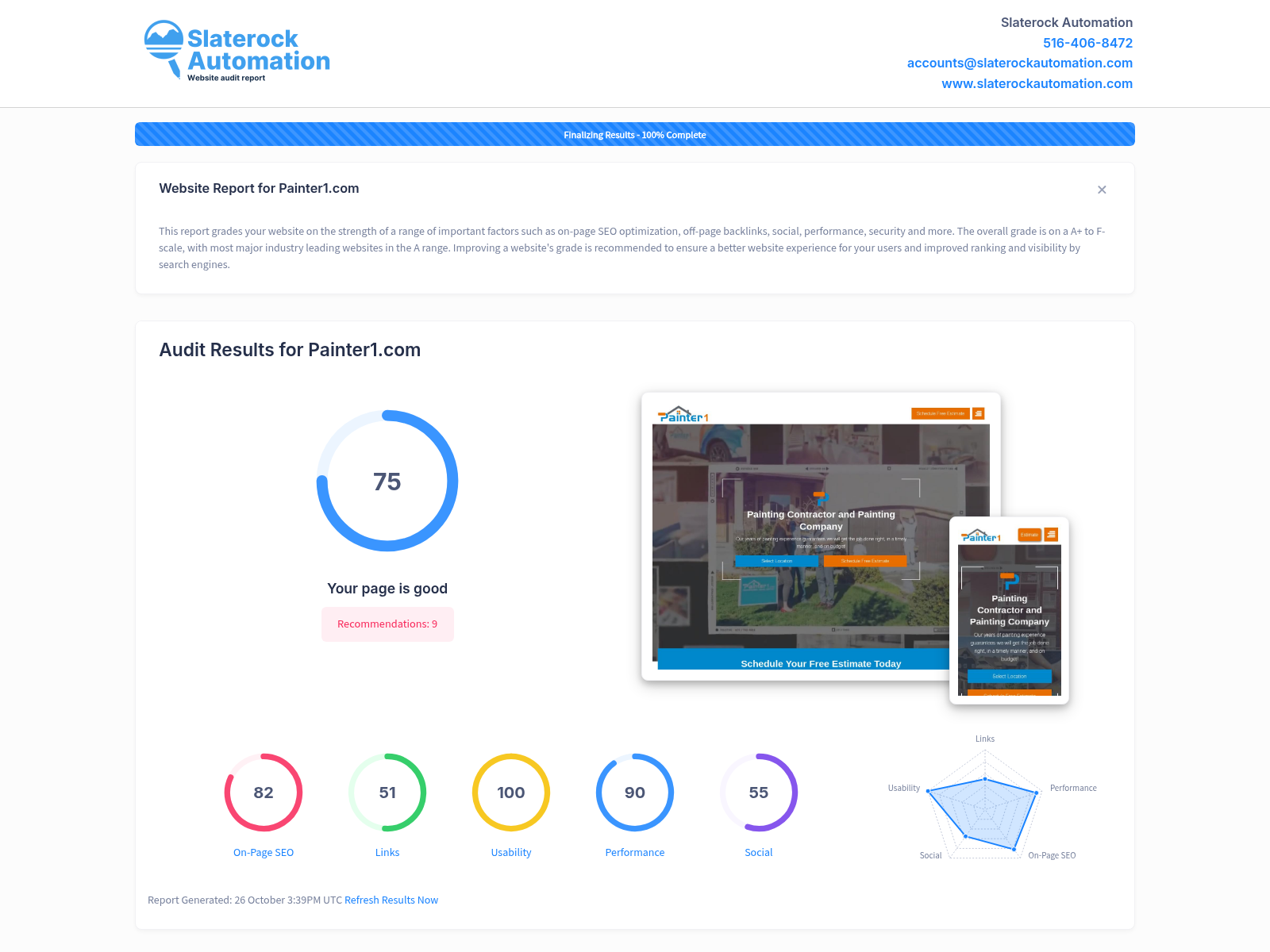 Screenshot of a website audit report for Painter1, showing high-performance metrics and SEO attributes.
