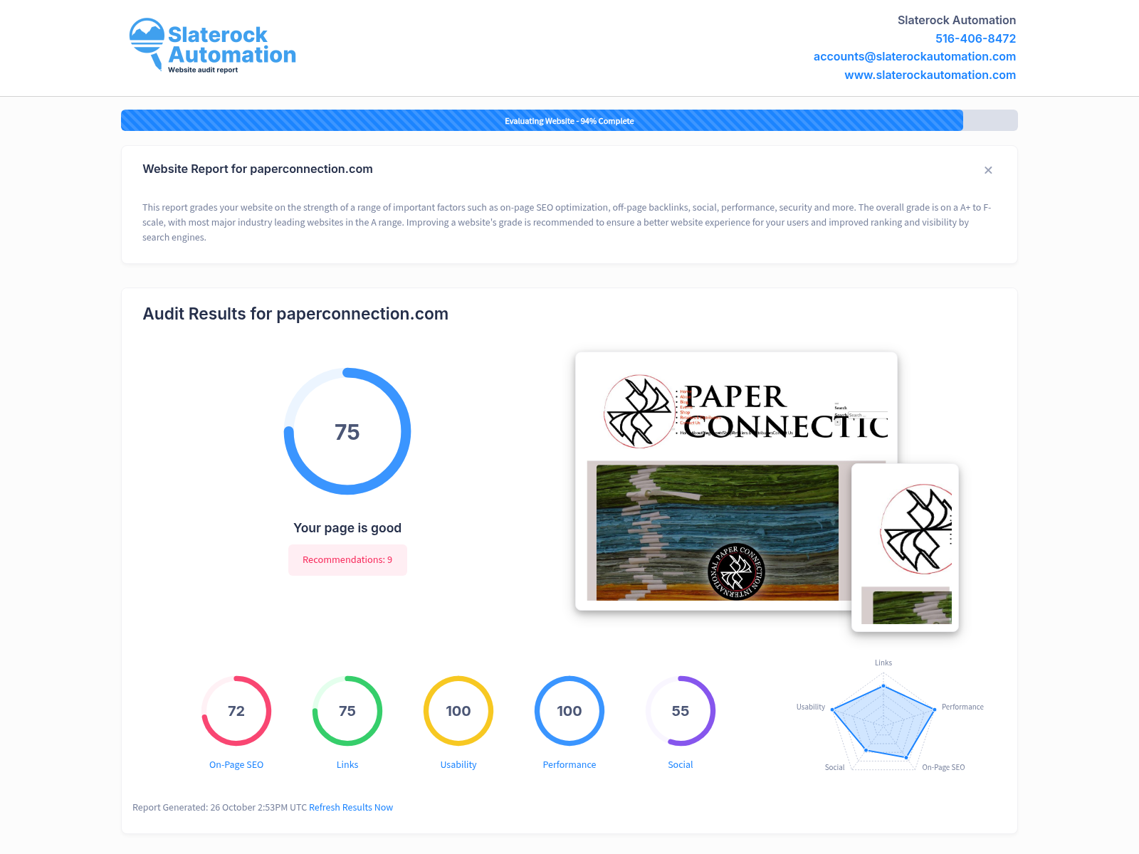 Screenshot of a website audit for Paper Connection, showcasing performance metrics and optimization recommendations.