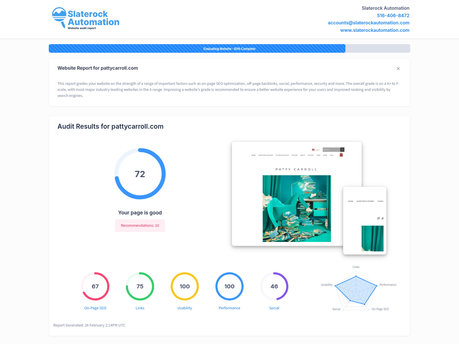 Screenshot showcasing Patty Carroll's photography website audit, highlighting her 'Anonymous Woman' series and artistic achievements.