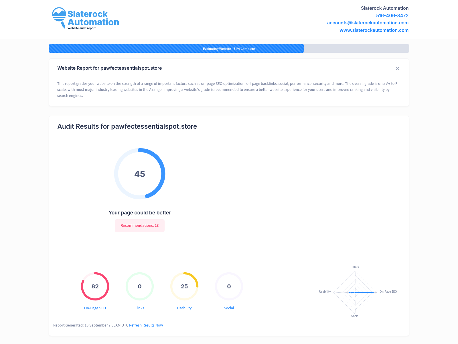 Screenshot of a website audit for Pawfect Essential Spot showcasing excellent SEO performance and user-friendly design.