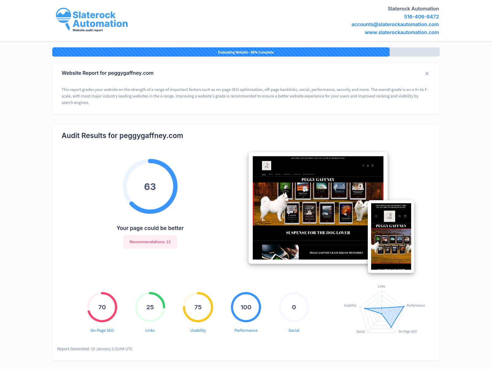 Screenshot of a website audit showcasing Peggy Gaffney's dog training and mystery novels.
