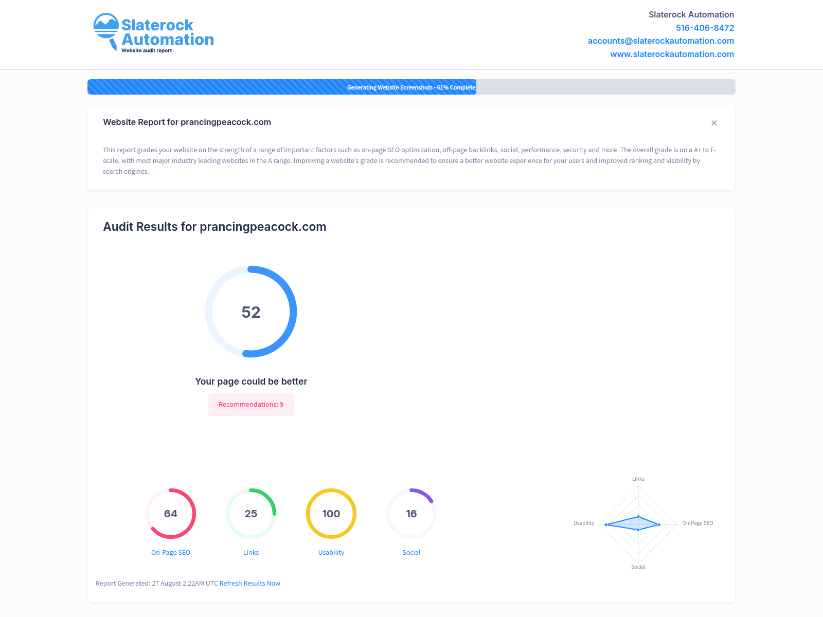 Screenshot of Prancing Peacock's website audit highlighting key performance metrics and SEO insights.