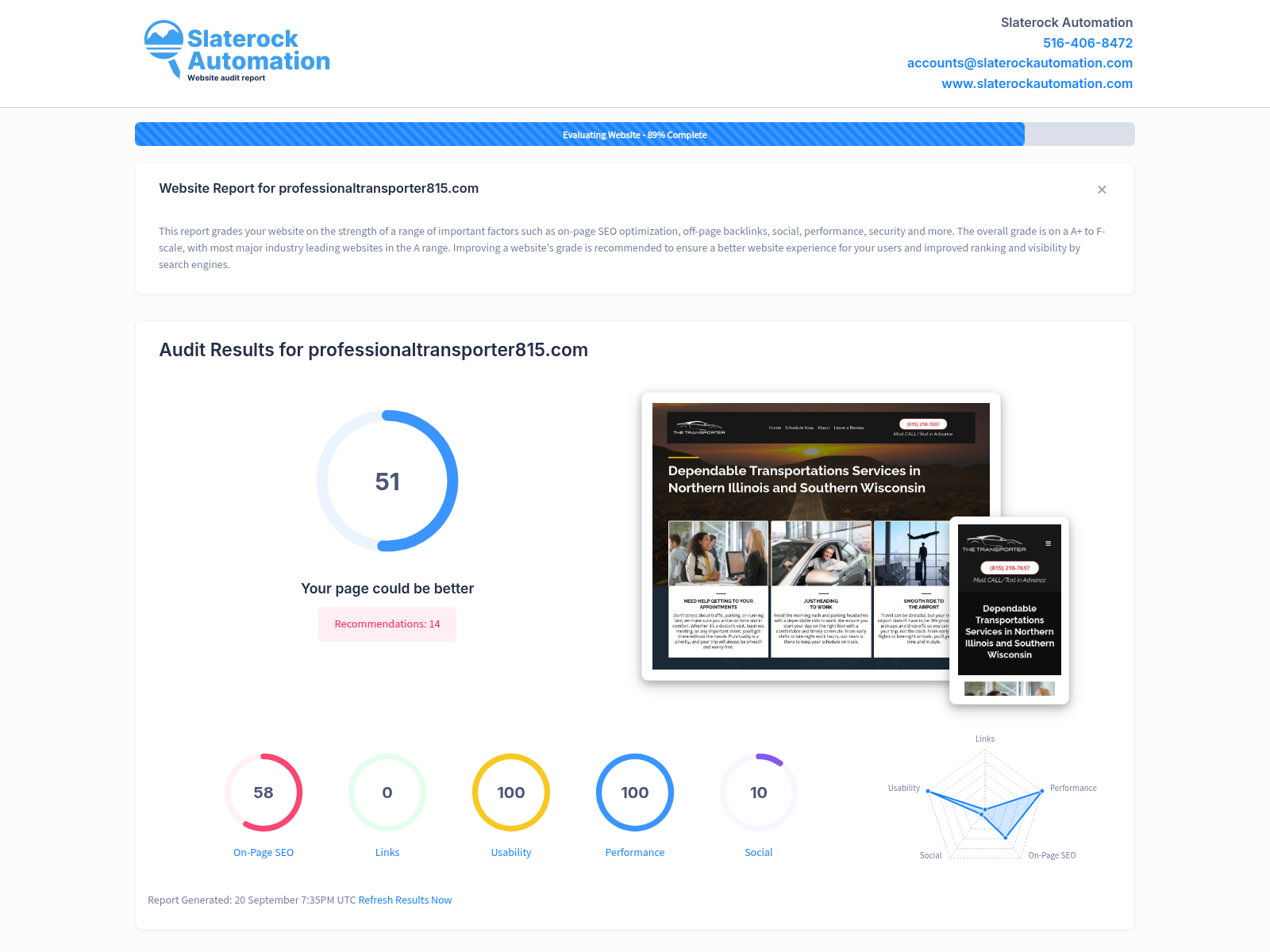 Screenshot showing the website audit results for Professional Transporter 815, highlighting site performance and SEO metrics.