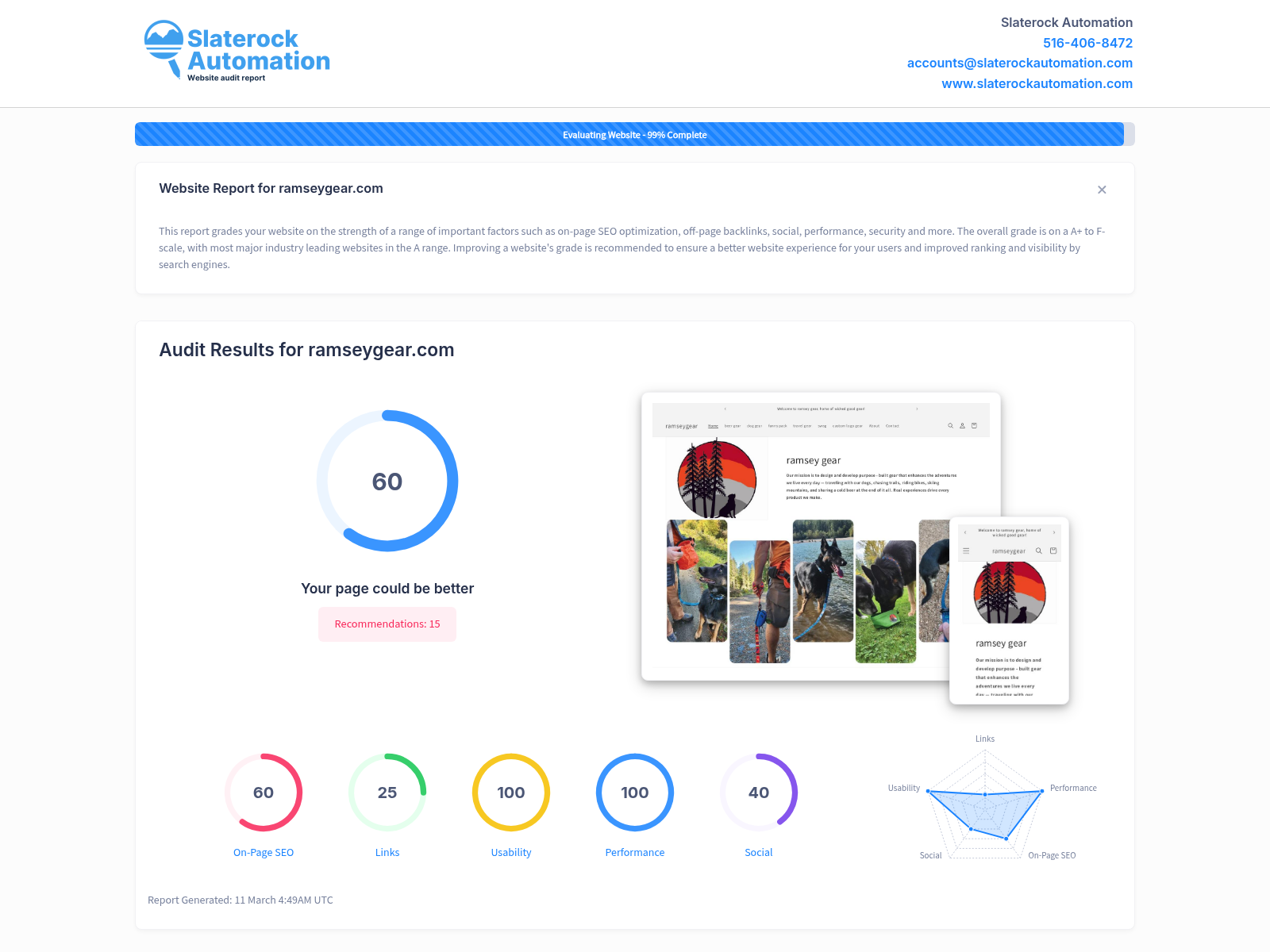 Screenshot of a website audit showcasing Ramsey Gear's website performance.