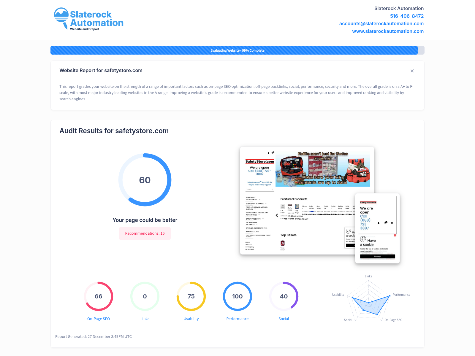 Screenshot of Safety Store website audit highlighting customer satisfaction and product quality.