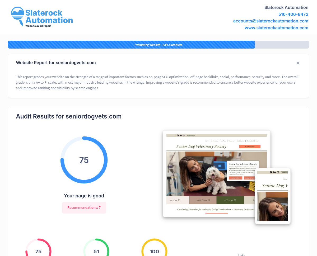 Screenshot of a website audit for the Senior Dog Veterinary Society, showcasing their dedication to senior dog care.