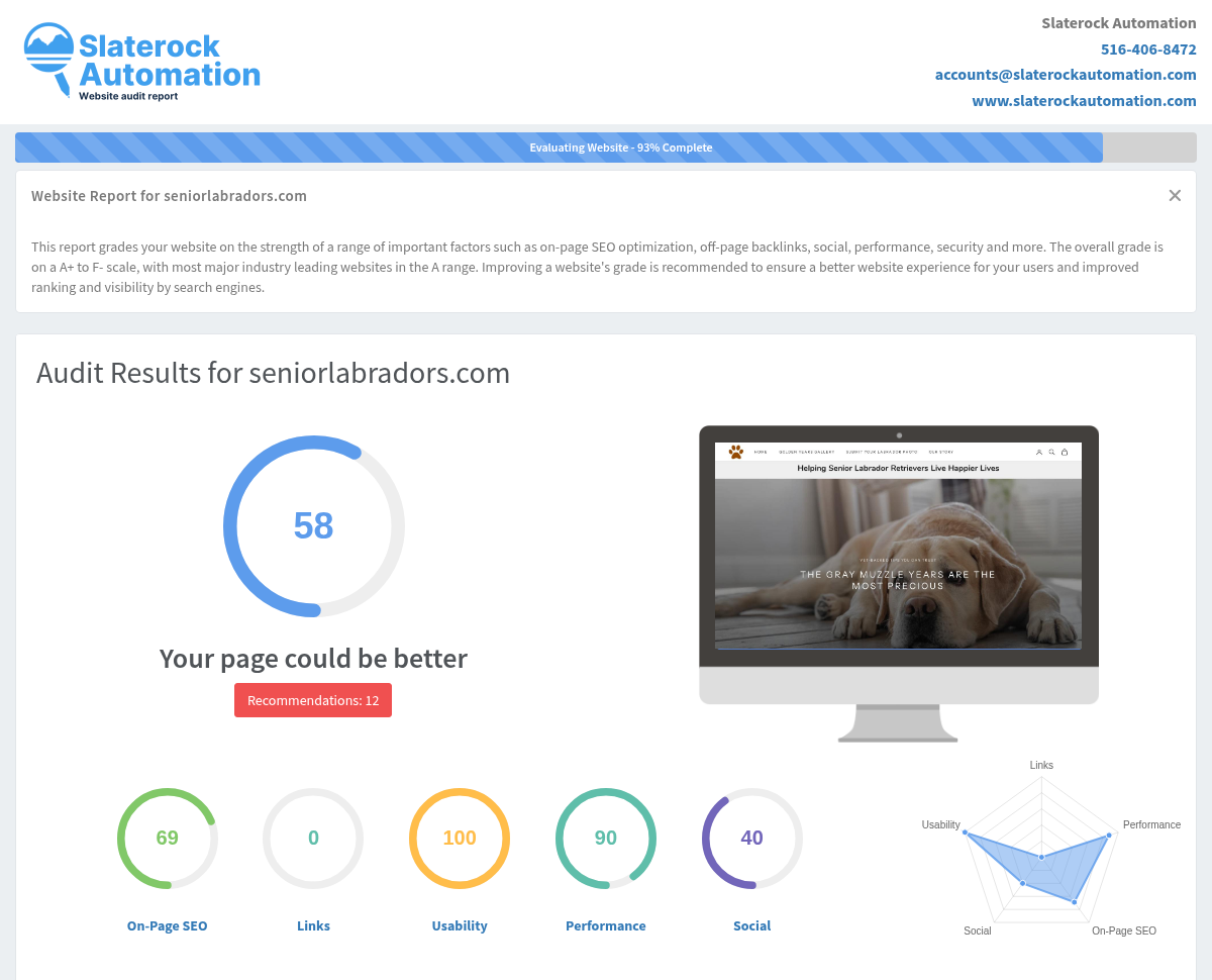 Screenshot of a website audit showcasing the performance and SEO metrics for Senior Labradors.