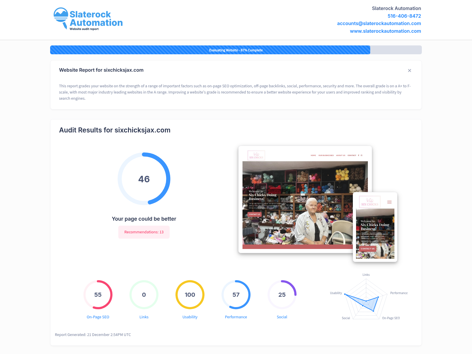 Screenshot of Six Chicks Jax website audit showcasing diverse offerings and customer reviews.