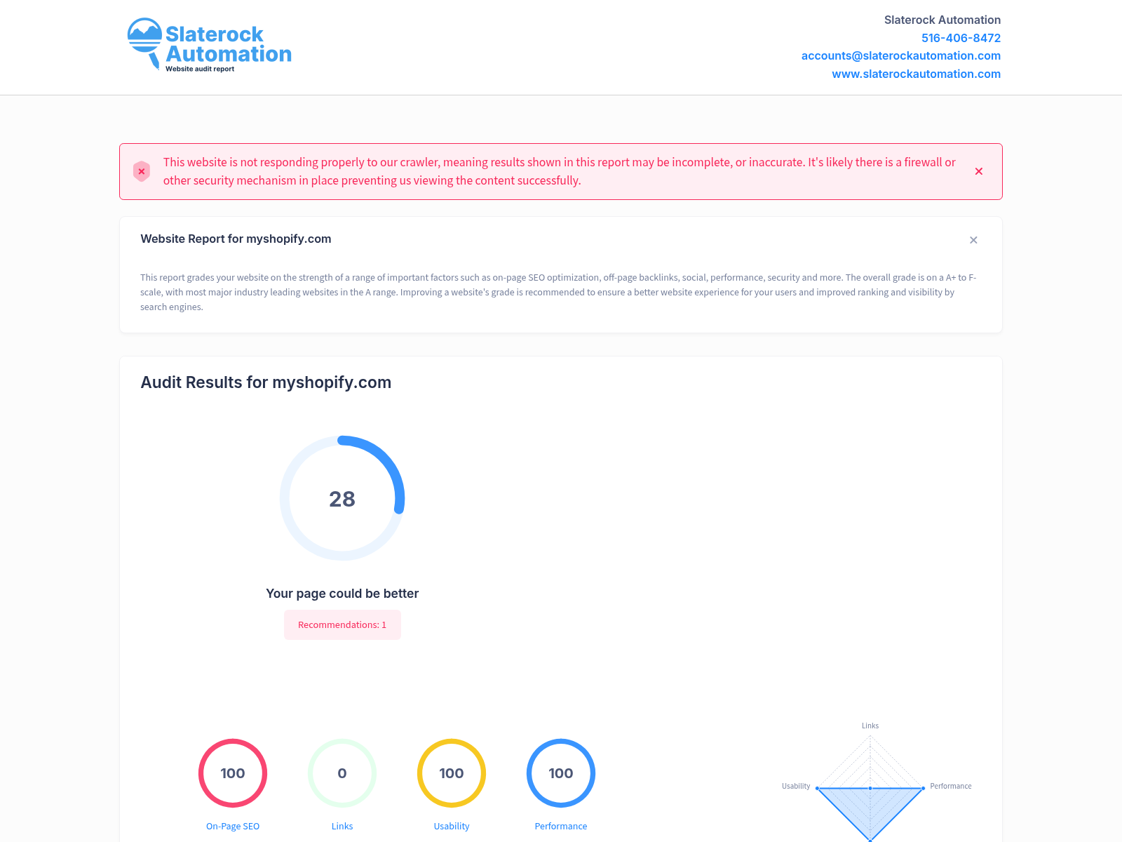 Screenshot of Skidmark Supply's website audit, showcasing site performance and optimization insights.
