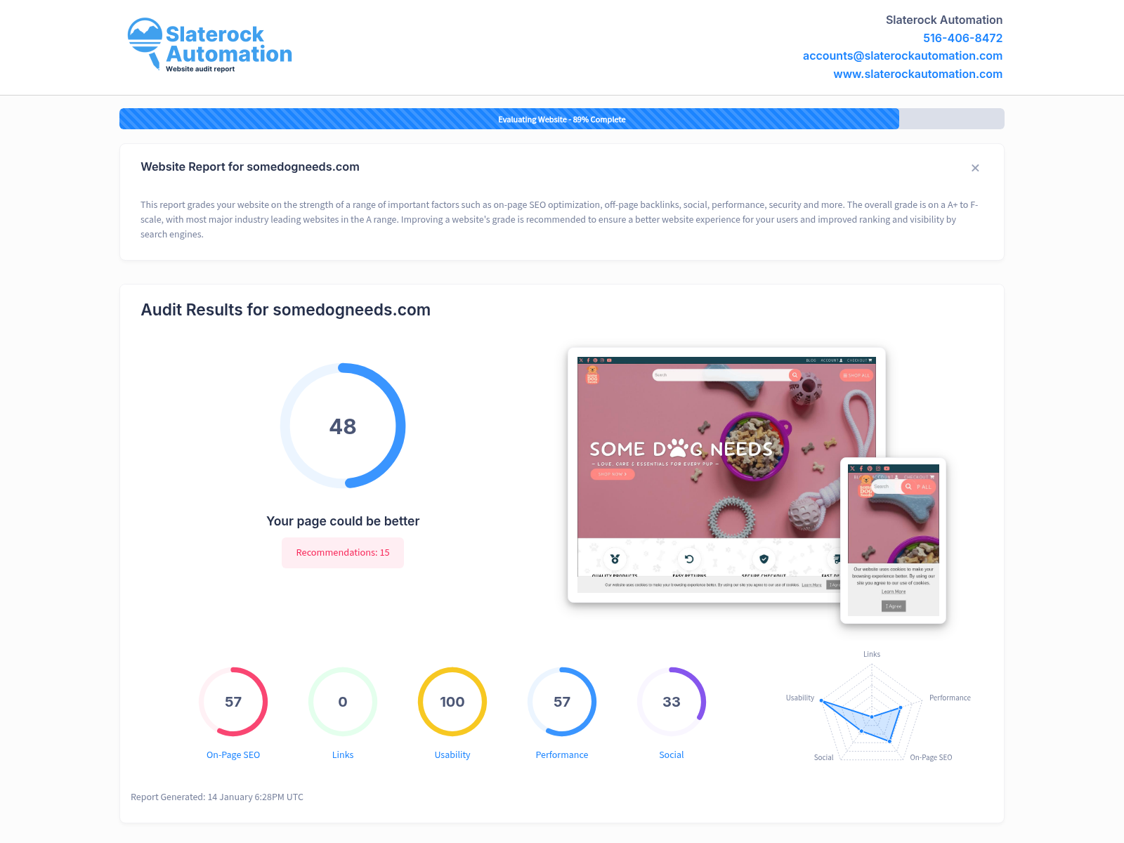Screenshot of Some Dog Needs website audit showing user-friendly design and fast shopping features.