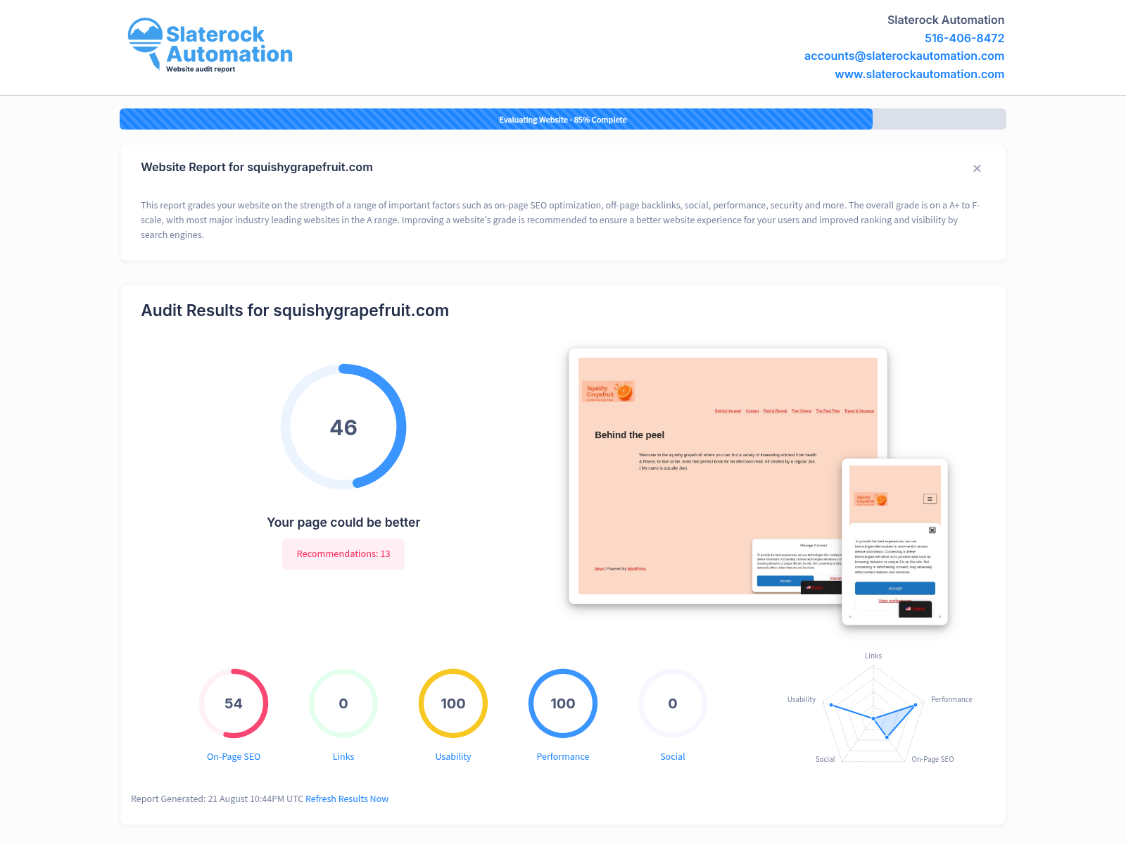 Screenshot of Squishy Grapefruit website audit showcasing user engagement metrics and content diversity.
