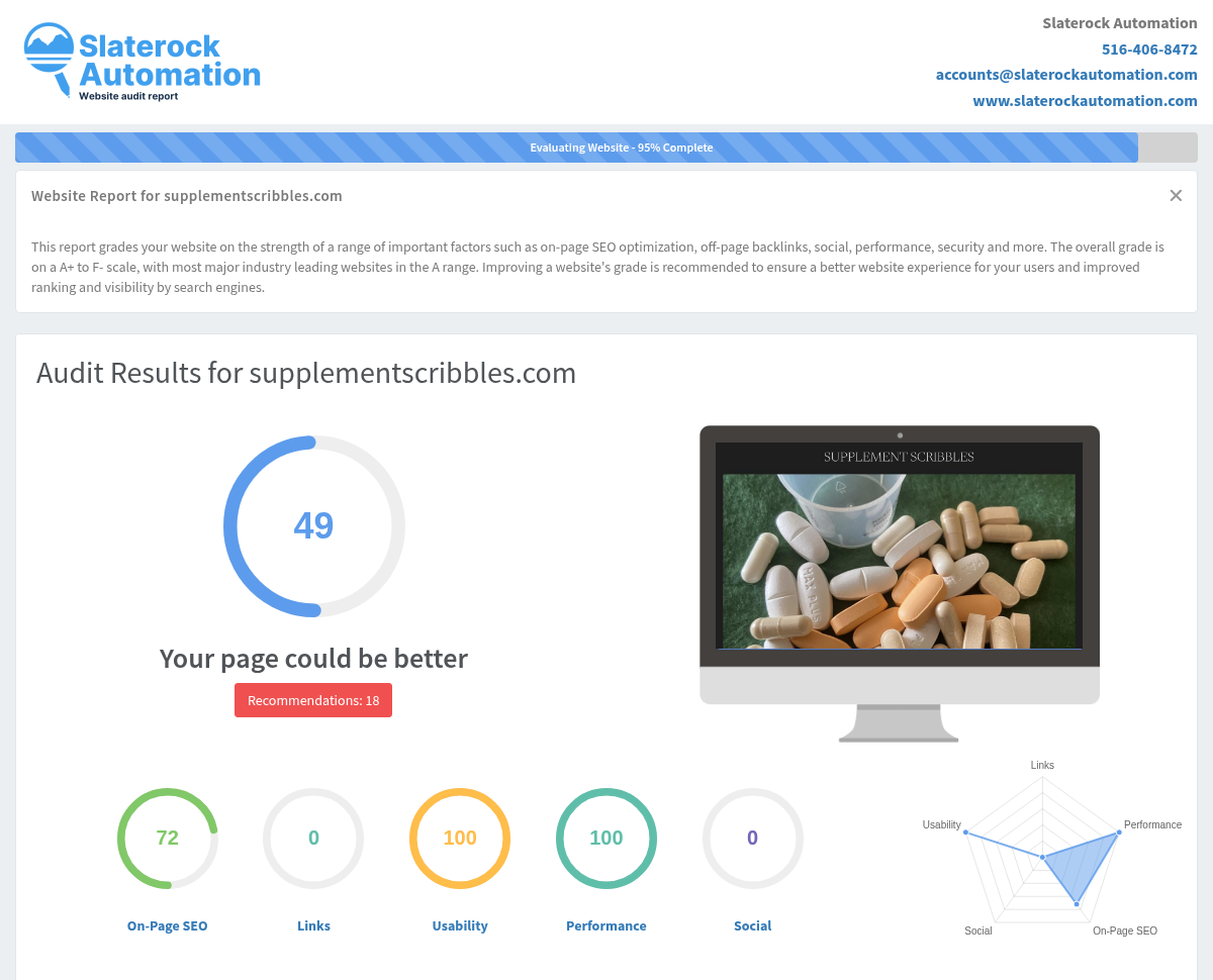 Website audit screenshot showcasing Supplement Scribbles' focus on vitamins and supplements.