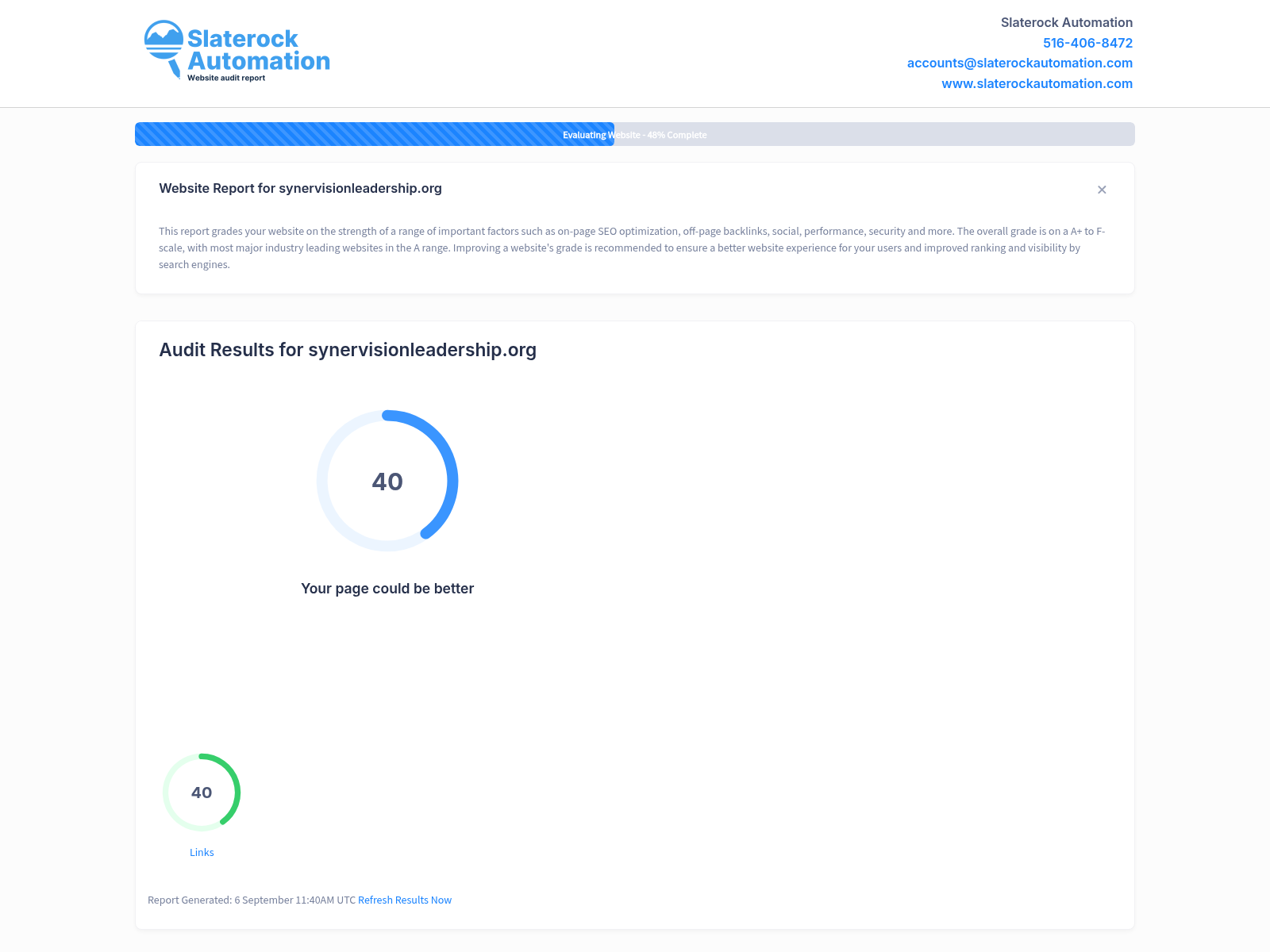 Screenshot of SynerVision Leadership Foundation website audit showing SEO performance metrics and site optimization insights.