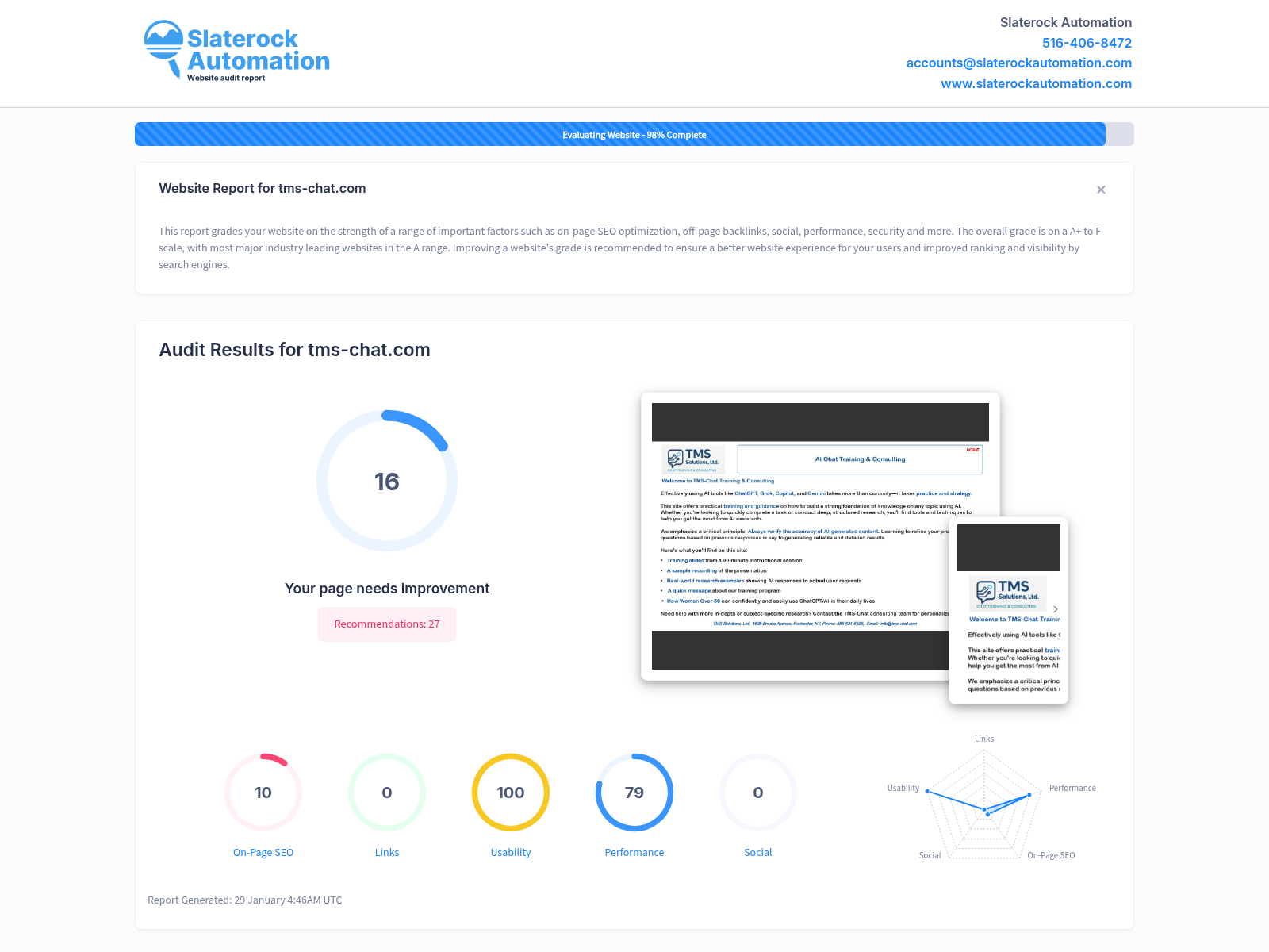 Screenshot of website audit for TMS Chat showcasing SEO performance, user interaction metrics, and service offerings.