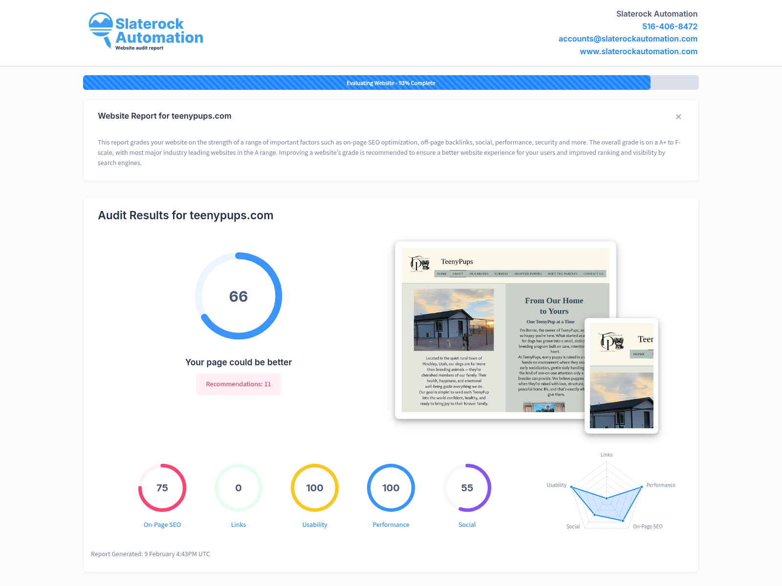 Screenshot of a website audit for Teeny Pups, showcasing their breeding program and positive reviews.