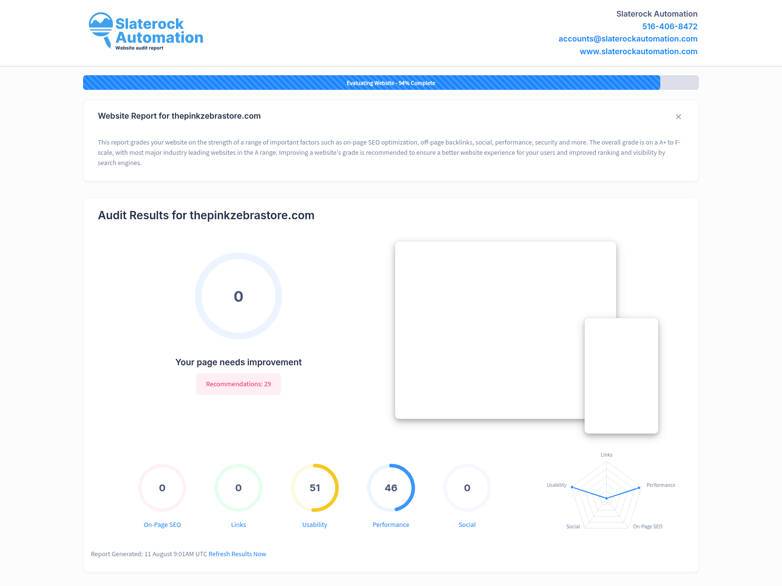 Screenshot of The Pink Zebra Store website audit showcasing its high-quality product range and customer satisfaction.
