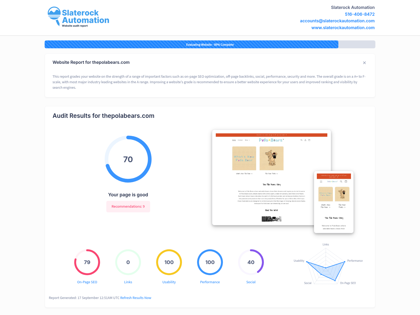 Pola Bears website audit showcasing user-friendly design and engaging content.
