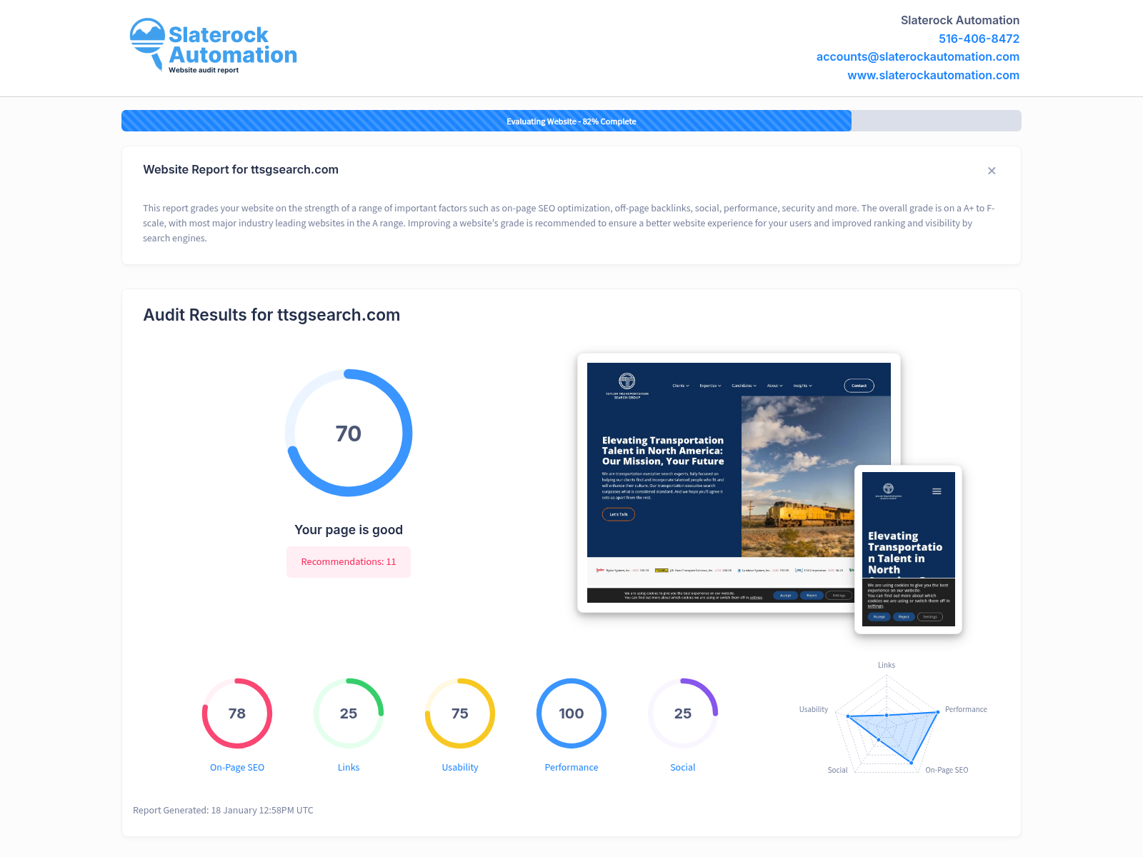 Website audit for Ttsg Search showing user-friendly navigation and functional cookies.