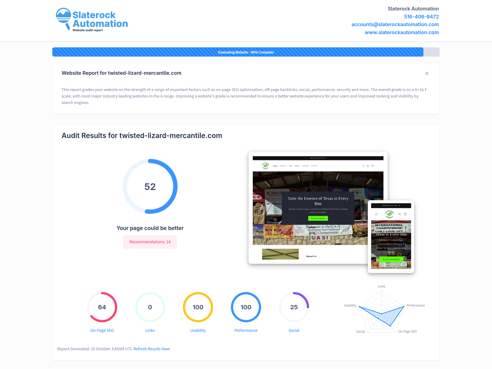 Screenshot of Twisted Lizard Mercantile's website audit results showcasing their SEO performance and user experience.