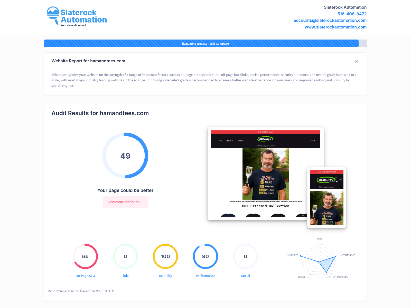 Screenshot of a website audit showcasing Ham & Tees' user-friendly design and product performance.