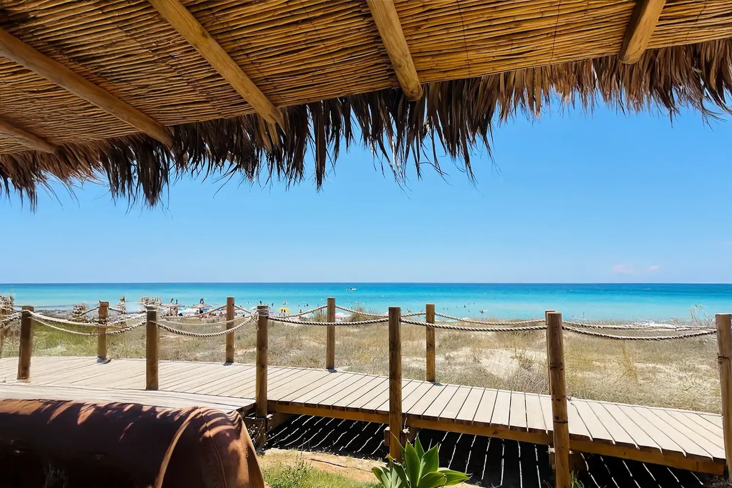 apelungo al flipper formentera 1