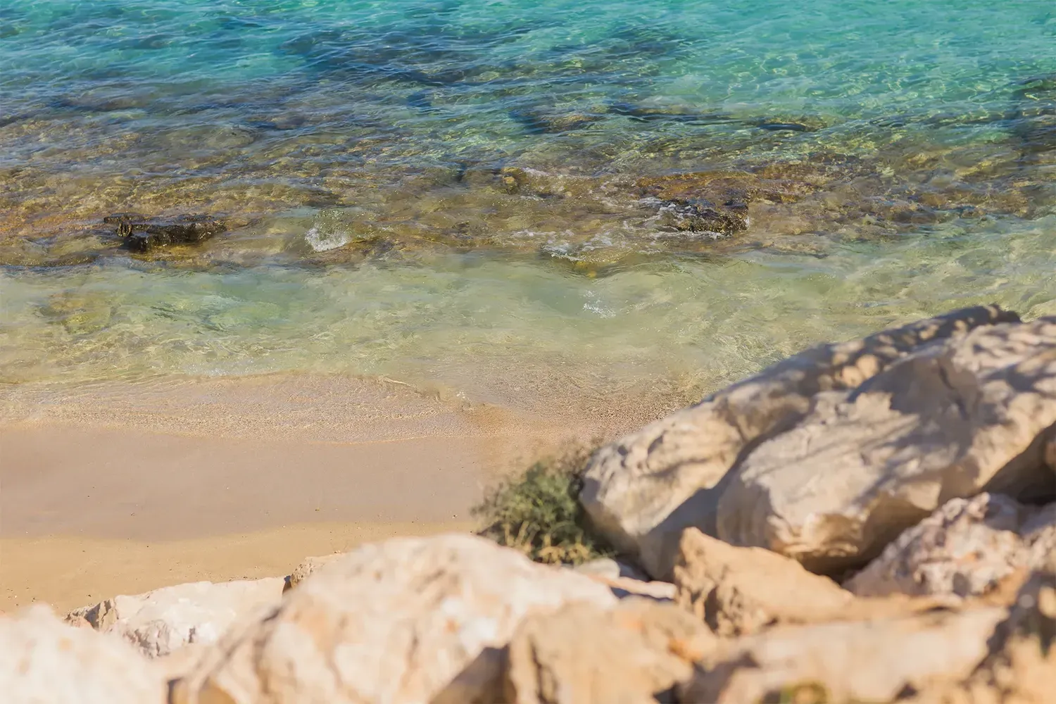 apelungo al flipper formentera 6