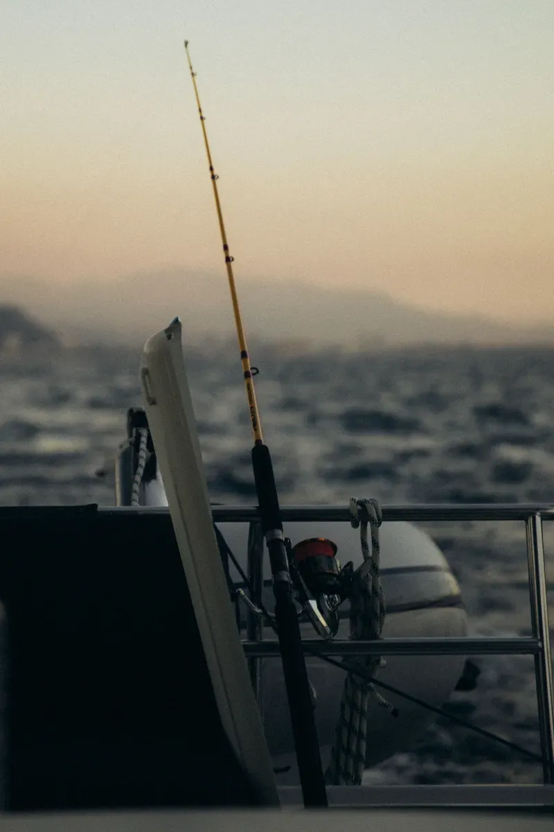 apelungo con sailormade foto 2