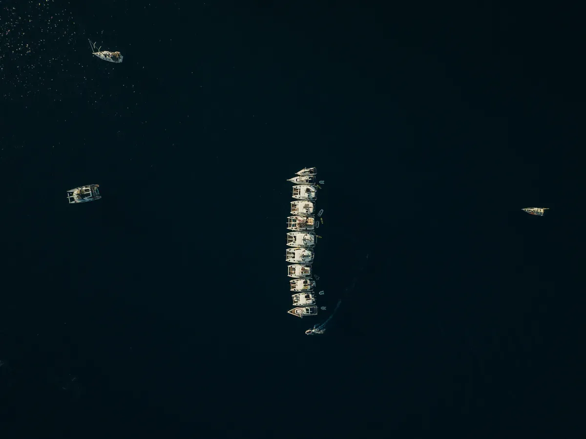 apelungo con sailormade foto 89