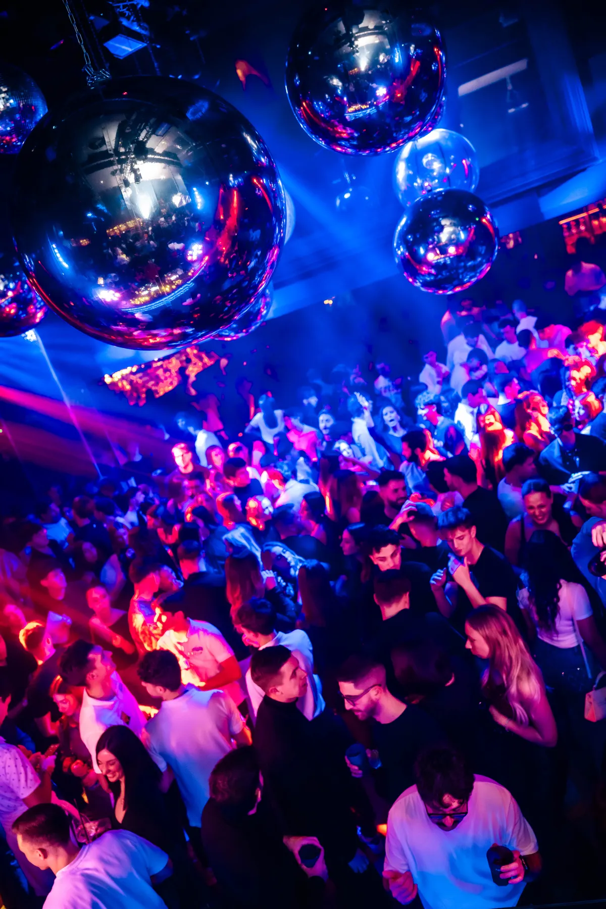 07-12-2025 apelungo al nikita foto 18.webp