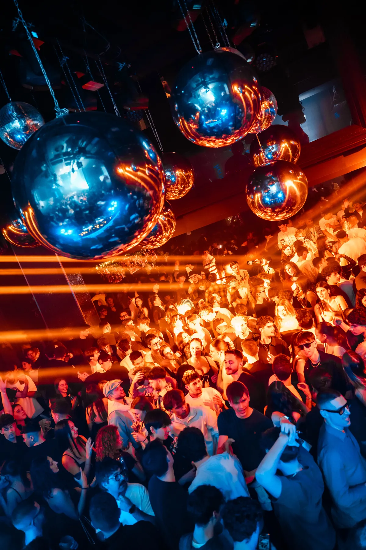 07-12-2025 apelungo al nikita foto 24.webp