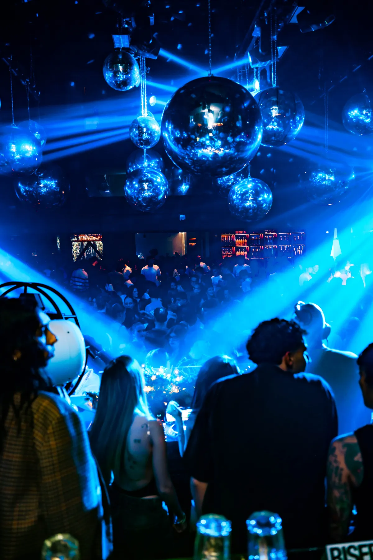 07-12-2025 apelungo al nikita foto 29.webp