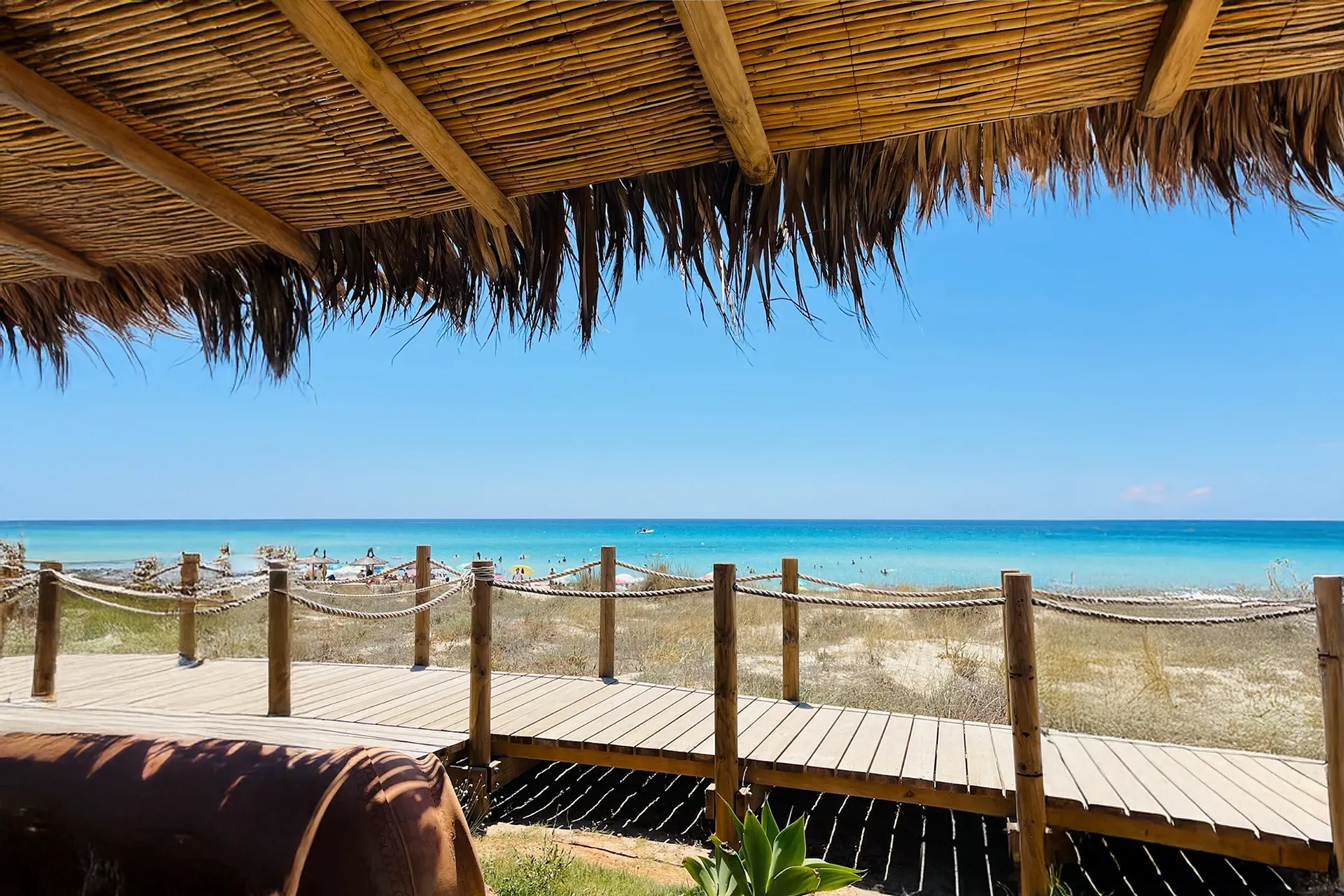 optimized apelungo al flipper formentera 2