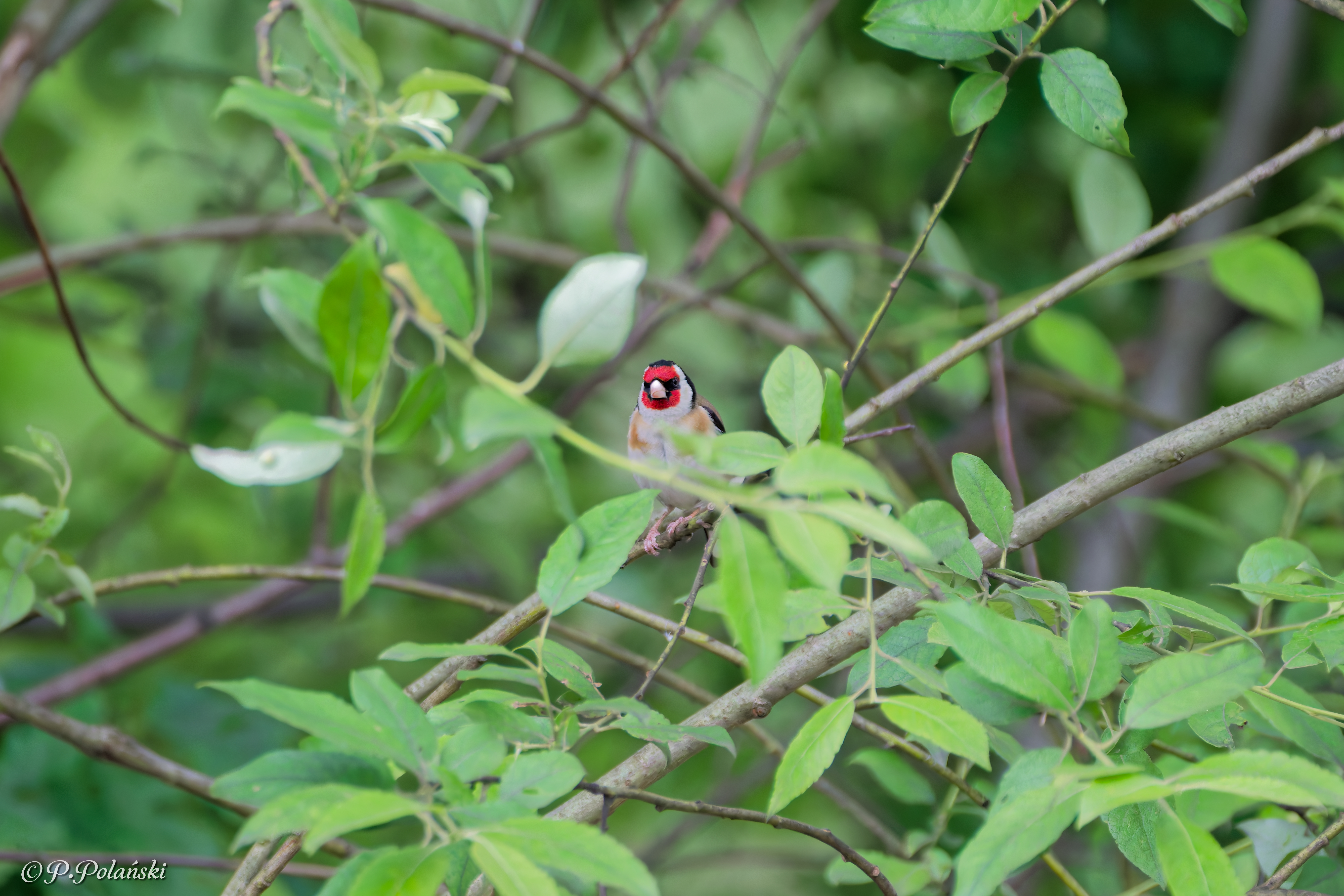 DSC05489_DxO
