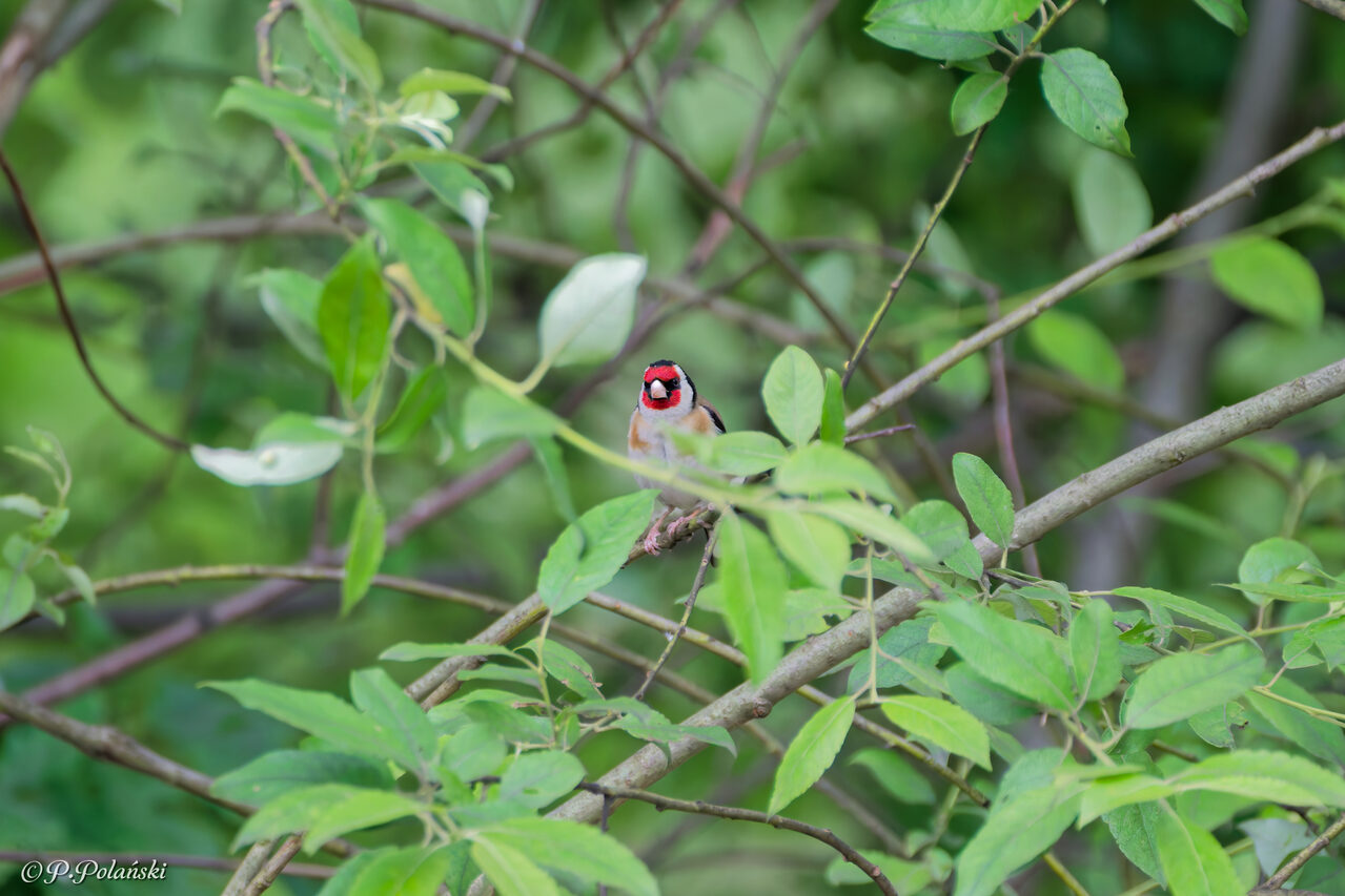 DSC05489_DxO