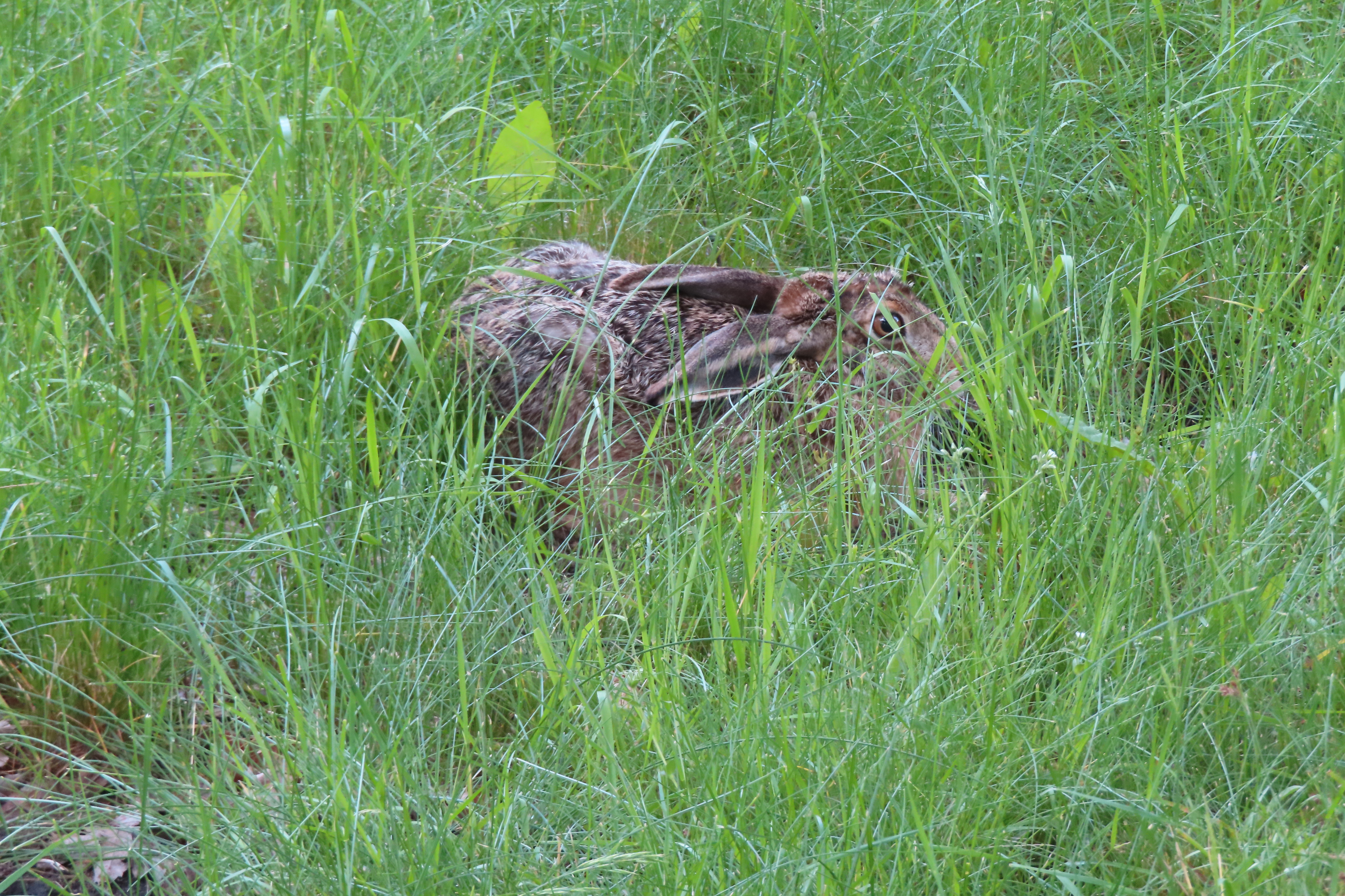 0IMG_7463