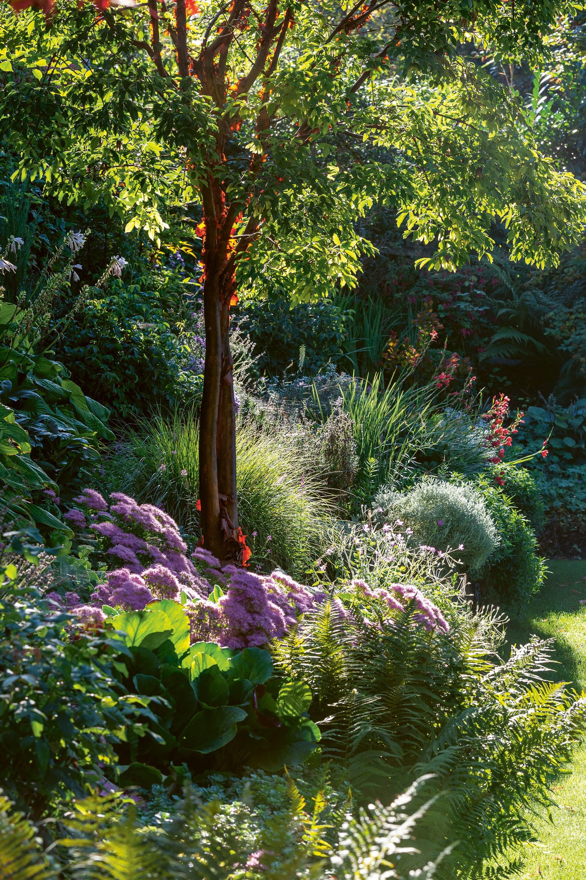 Gartenidyllen zum Träumen image