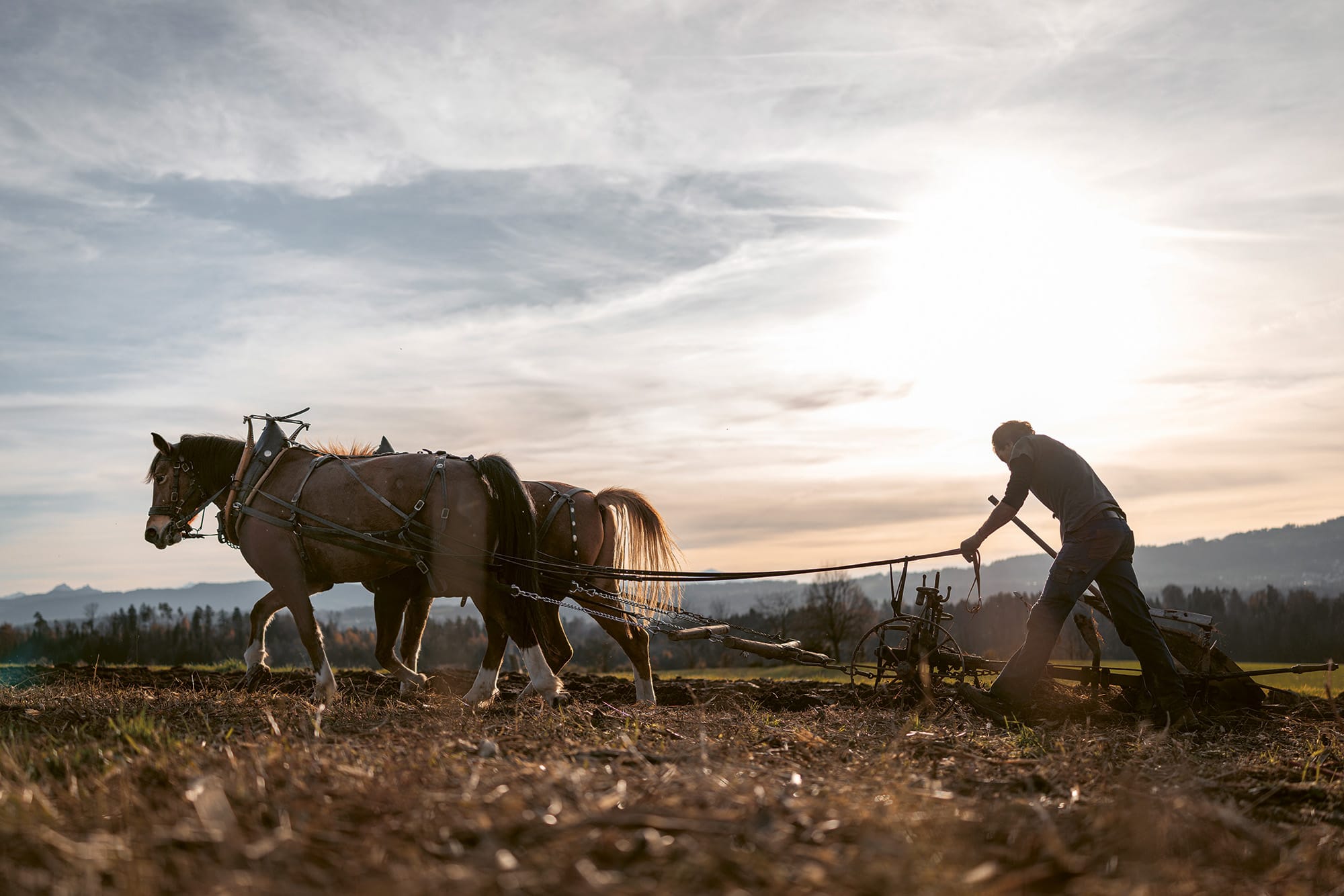 Hof Müselacher image