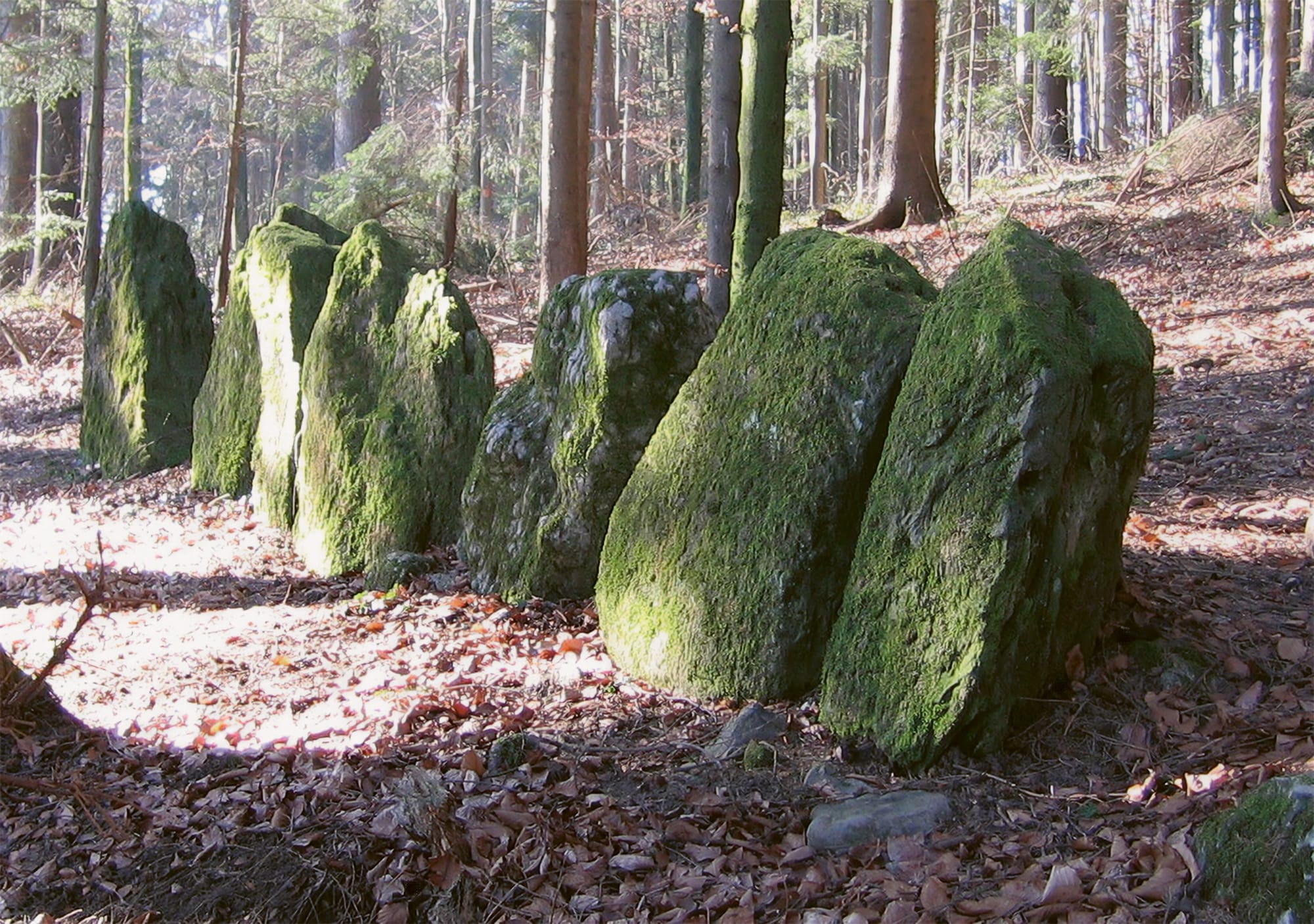 Megalithe im Säuliamt image