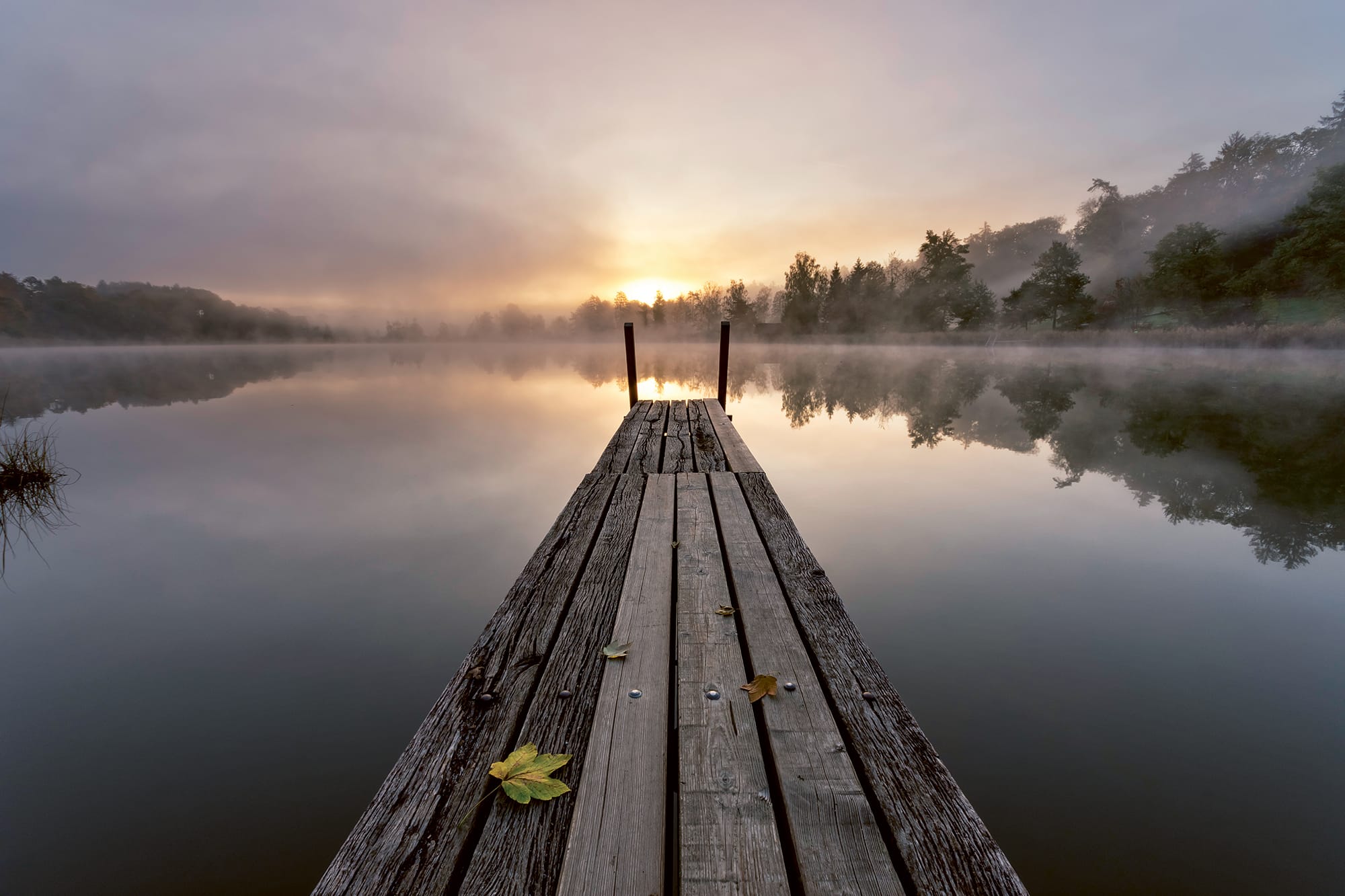 Naturparadies ­Husemer See image